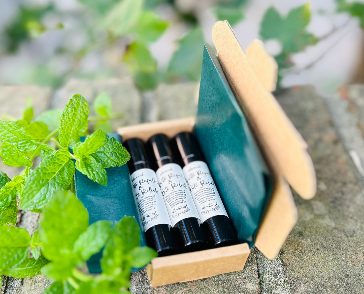 All-Natural Mosquito Repellent & Anti-Itch Essential Oil Set – Fast Relief for Skin Irritations, Soothes, Calms Inflammation, Perfect for Summer Adventures.
