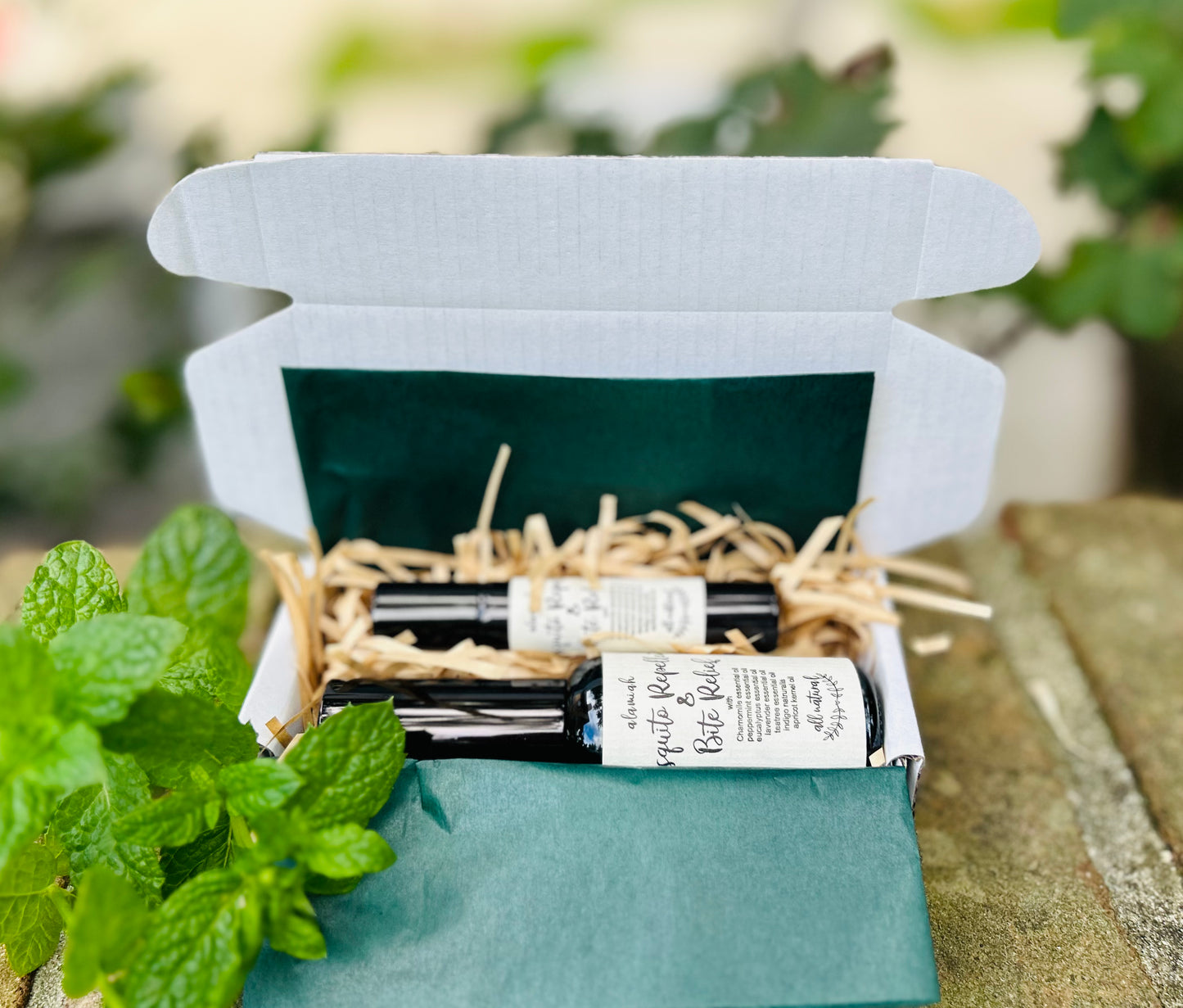 All-Natural Mosquito Repellent & Anti-Itch Essential Oil Set – Fast Relief for Skin Irritations, Soothes, Calms Inflammation, Perfect for Summer Adventures.