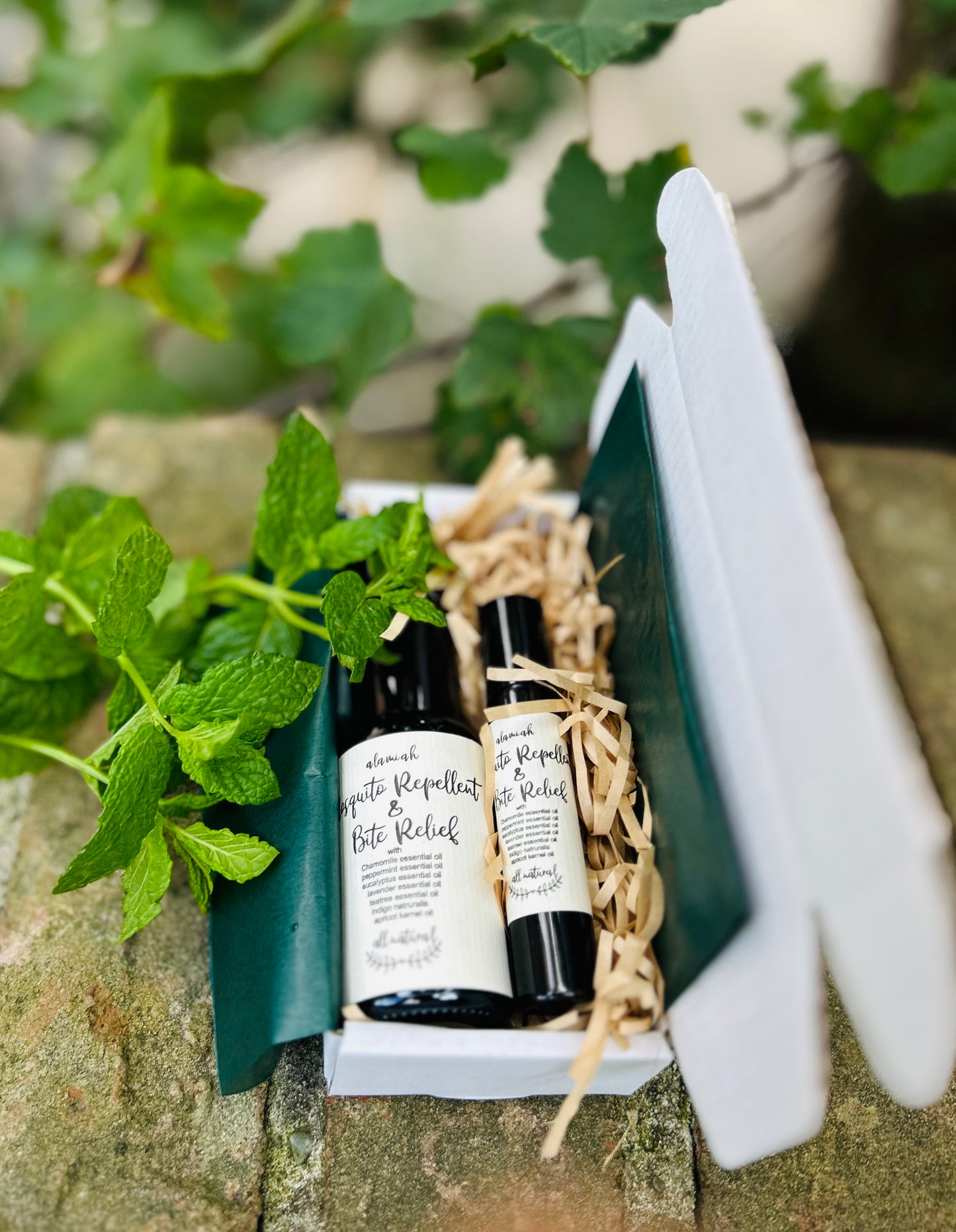 All-Natural Bug Bite Relief Gift Set – Fast Itch & Pain Relief | Best Seller | Safe for Kids & Pets | Soothes Cuts, Burns & Skin Irritations | Outdoor & Travel Essential