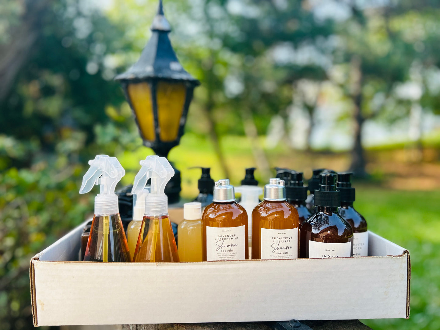 Lavender & Peppermint Dog Shampoo | Handmade with All Natural Ingredients | Soothing & Refreshing | Gentle on Skin & Fur | Promotes Relaxation & Skin Health
