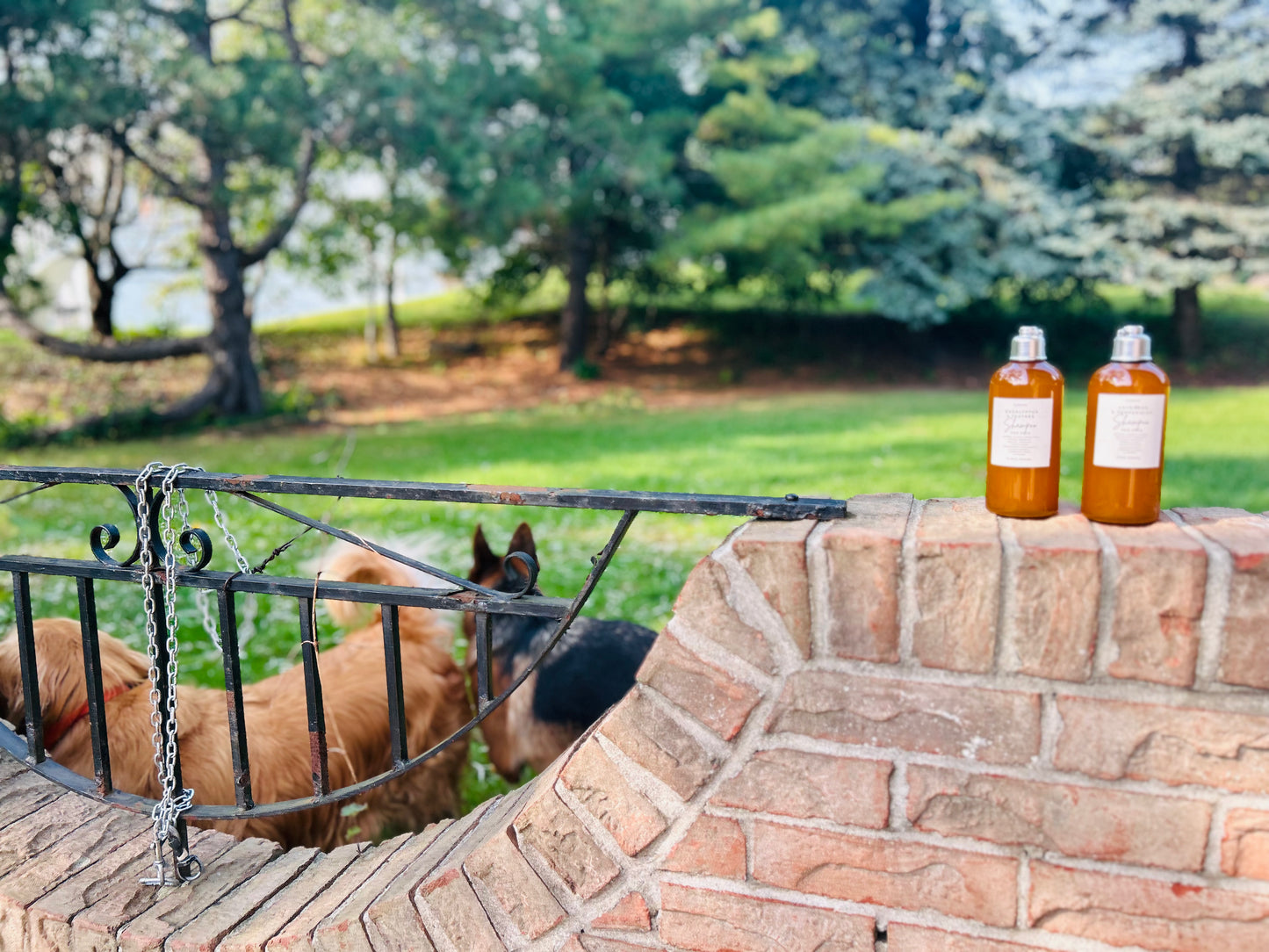 Lavender & Peppermint Dog Shampoo | Handmade with All Natural Ingredients | Soothing & Refreshing | Gentle on Skin & Fur | Promotes Relaxation & Skin Health