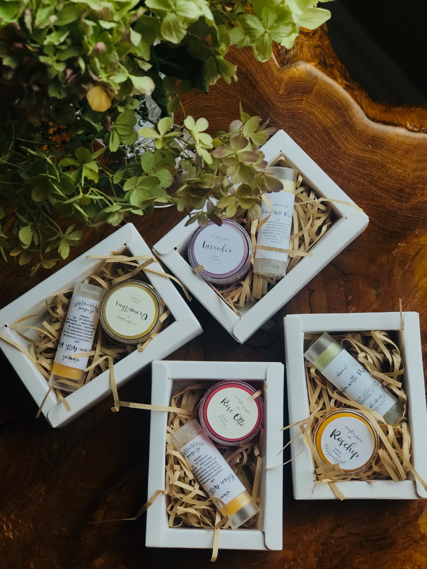 100% Natural Tinted Lip Balm | Rescue from Dry Lips with Plant-Infused Colors & Nourishing Essential Oils