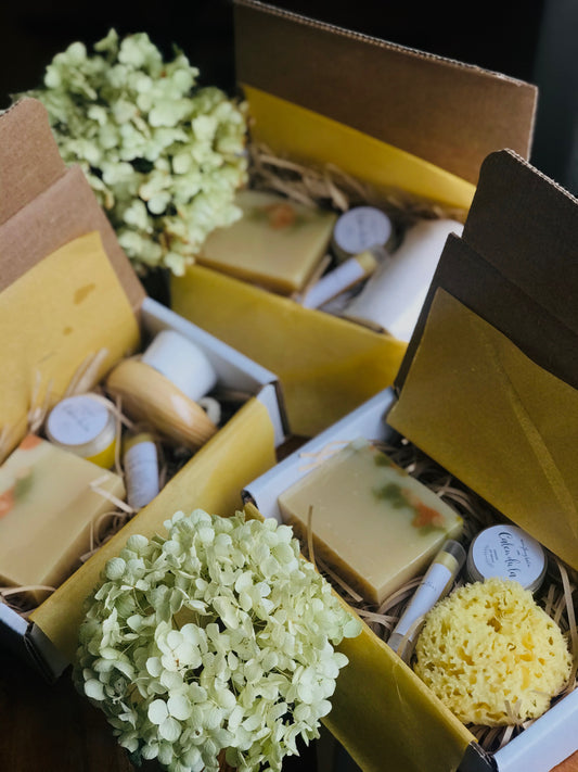 Facial Care Essentials Set – Handmade Soap, Botanical Lip & Face Balm with Soft Brush or Sponge – Thoughtful Gift for Friends, Family & Bridesmaids