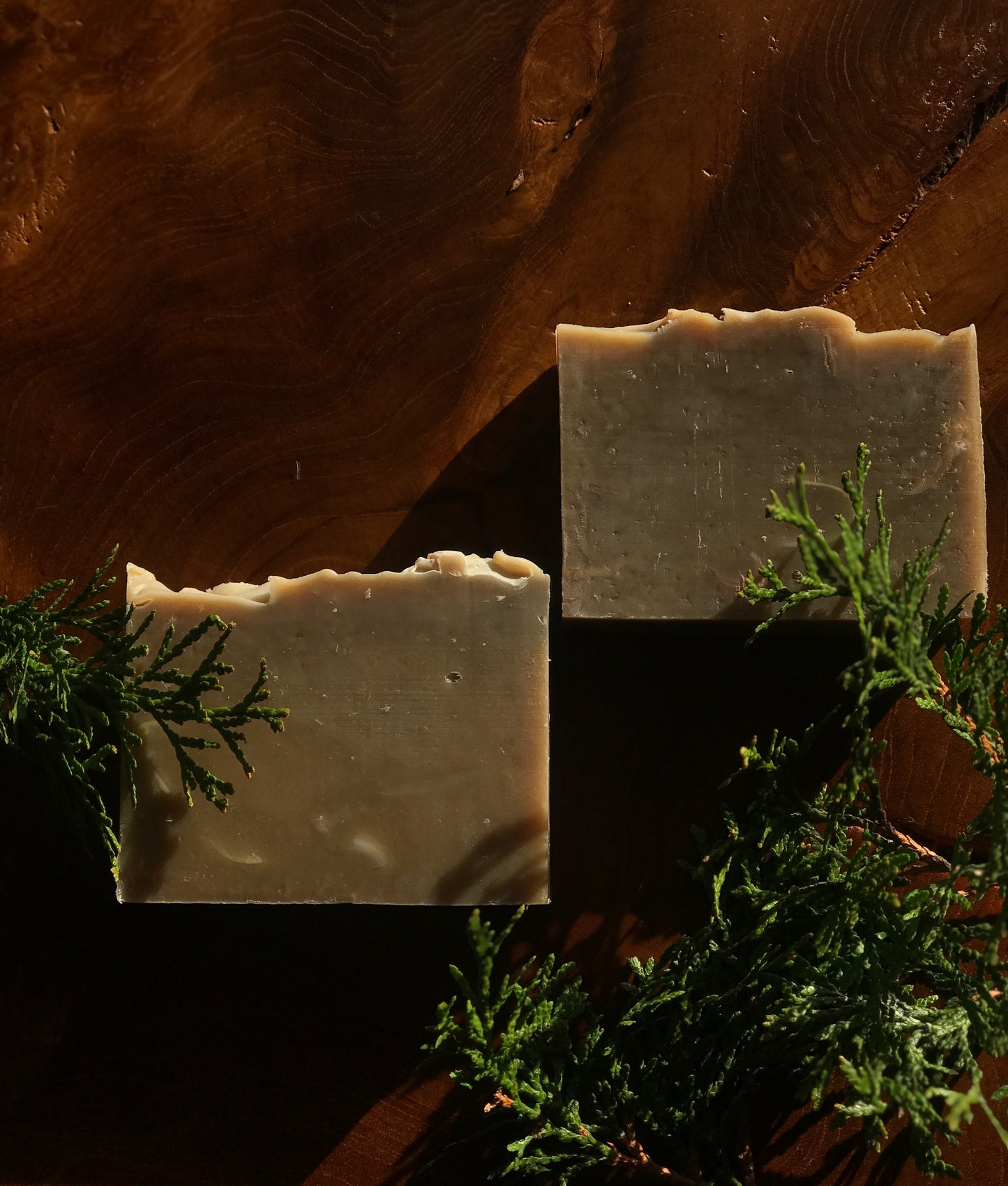 Arborvitae + Ginger Shampoo Soap: Natural Hair Care for Healthy Follicles and Scalp Balance