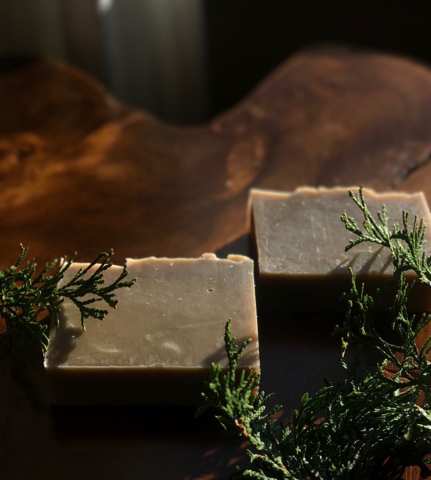 Arborvitae + Ginger Shampoo Soap: Natural Hair Care for Healthy Follicles and Scalp Balance