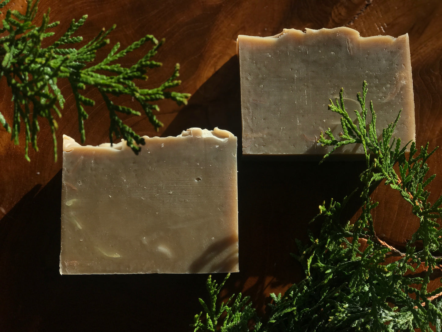 Arborvitae + Ginger Shampoo Soap: Natural Hair Care for Healthy Follicles and Scalp Balance