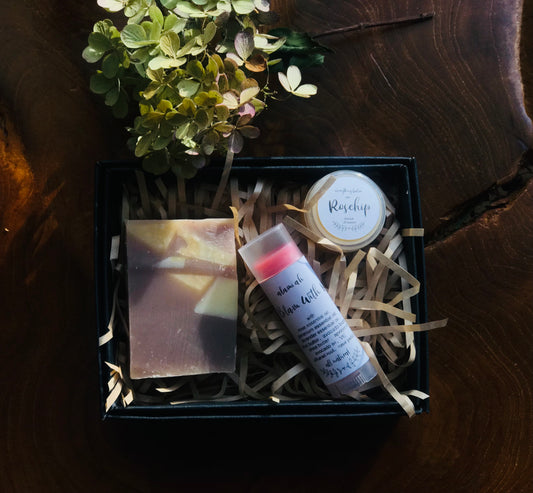 Handmade Bar Soap Sample Gift Set – Natural Facial & Bath Soap, Travel-Friendly & Perfect for Gifting